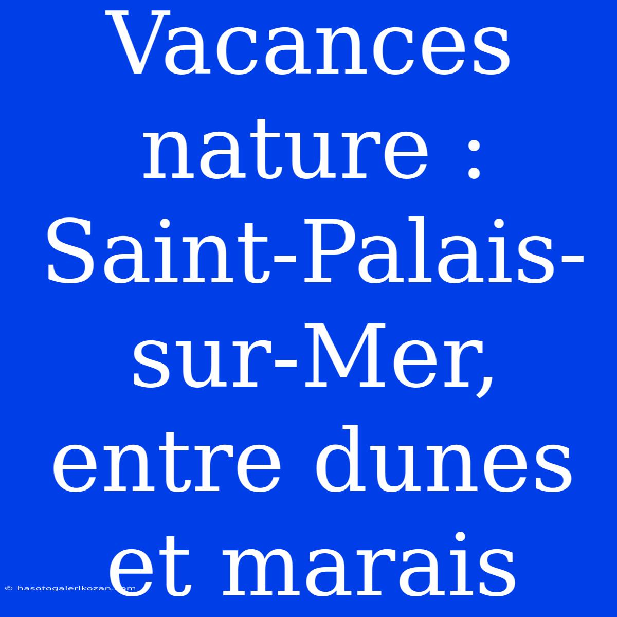 Vacances Nature : Saint-Palais-sur-Mer, Entre Dunes Et Marais