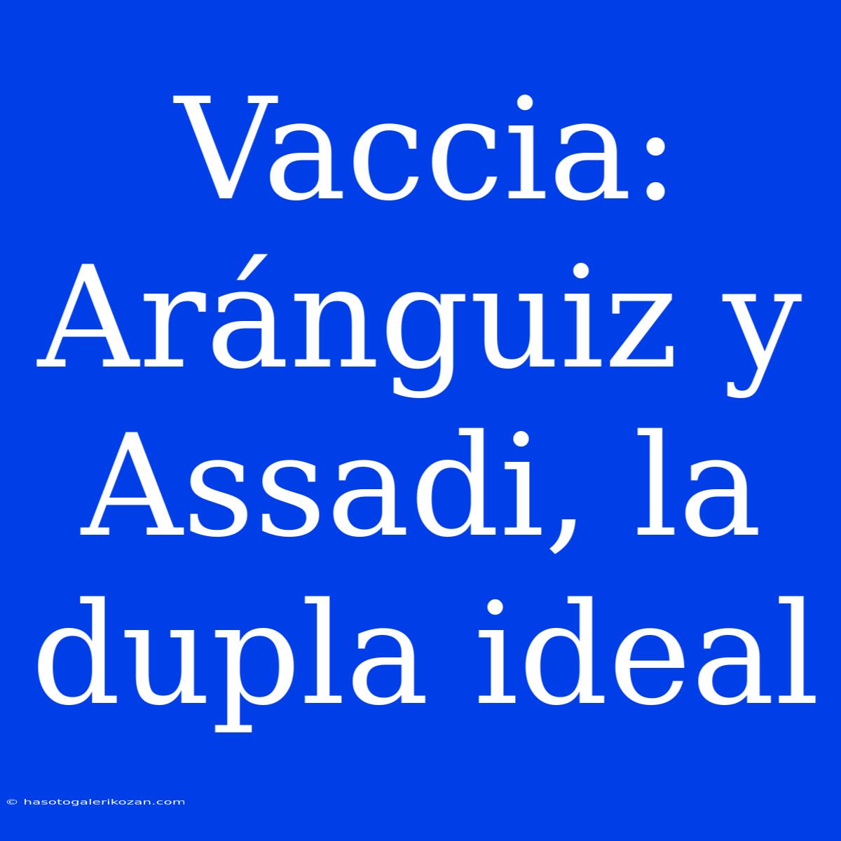 Vaccia: Aránguiz Y Assadi, La Dupla Ideal