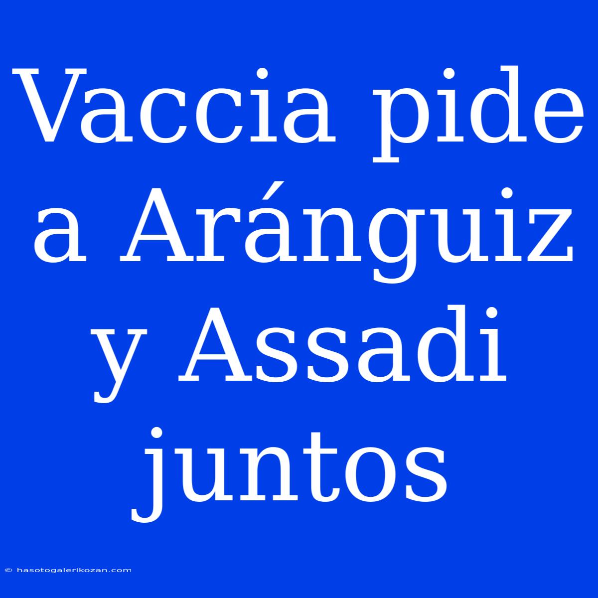 Vaccia Pide A Aránguiz Y Assadi Juntos