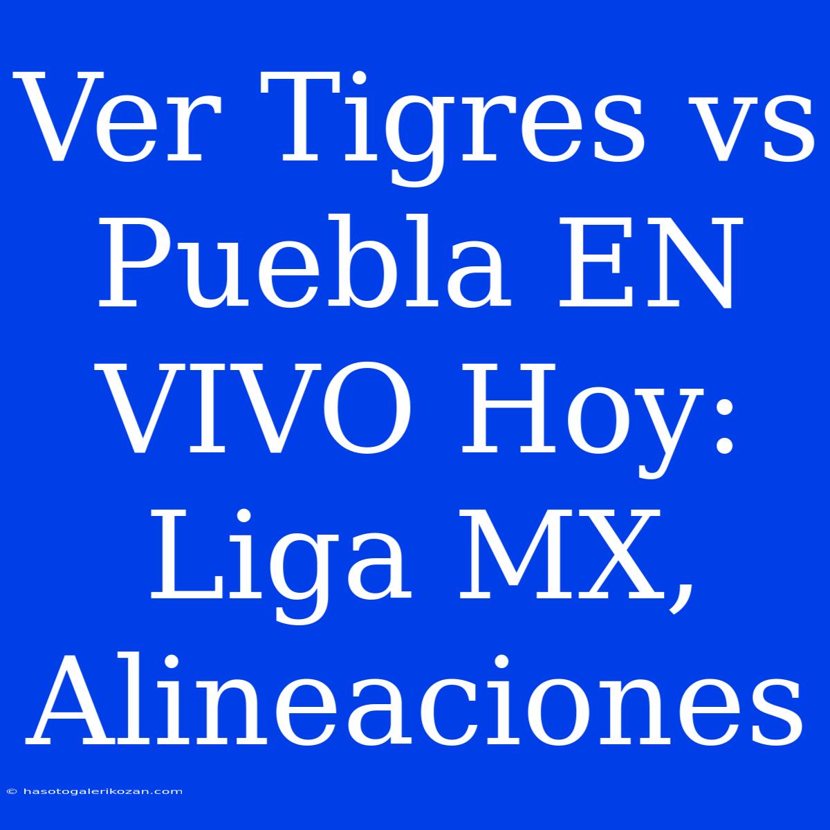 Ver Tigres Vs Puebla EN VIVO Hoy: Liga MX, Alineaciones