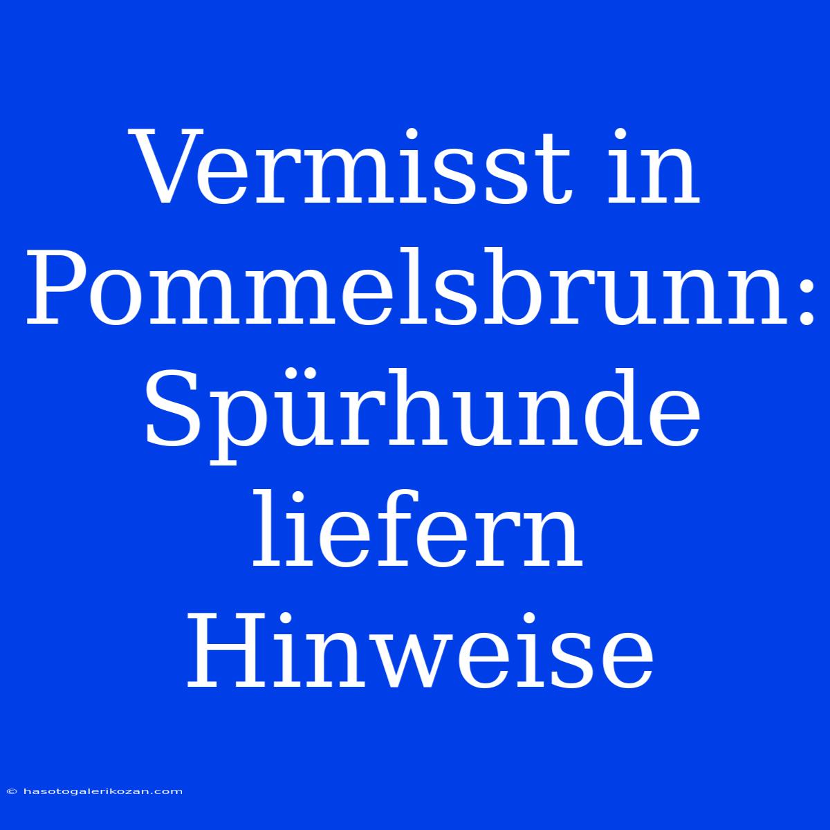 Vermisst In Pommelsbrunn: Spürhunde Liefern Hinweise