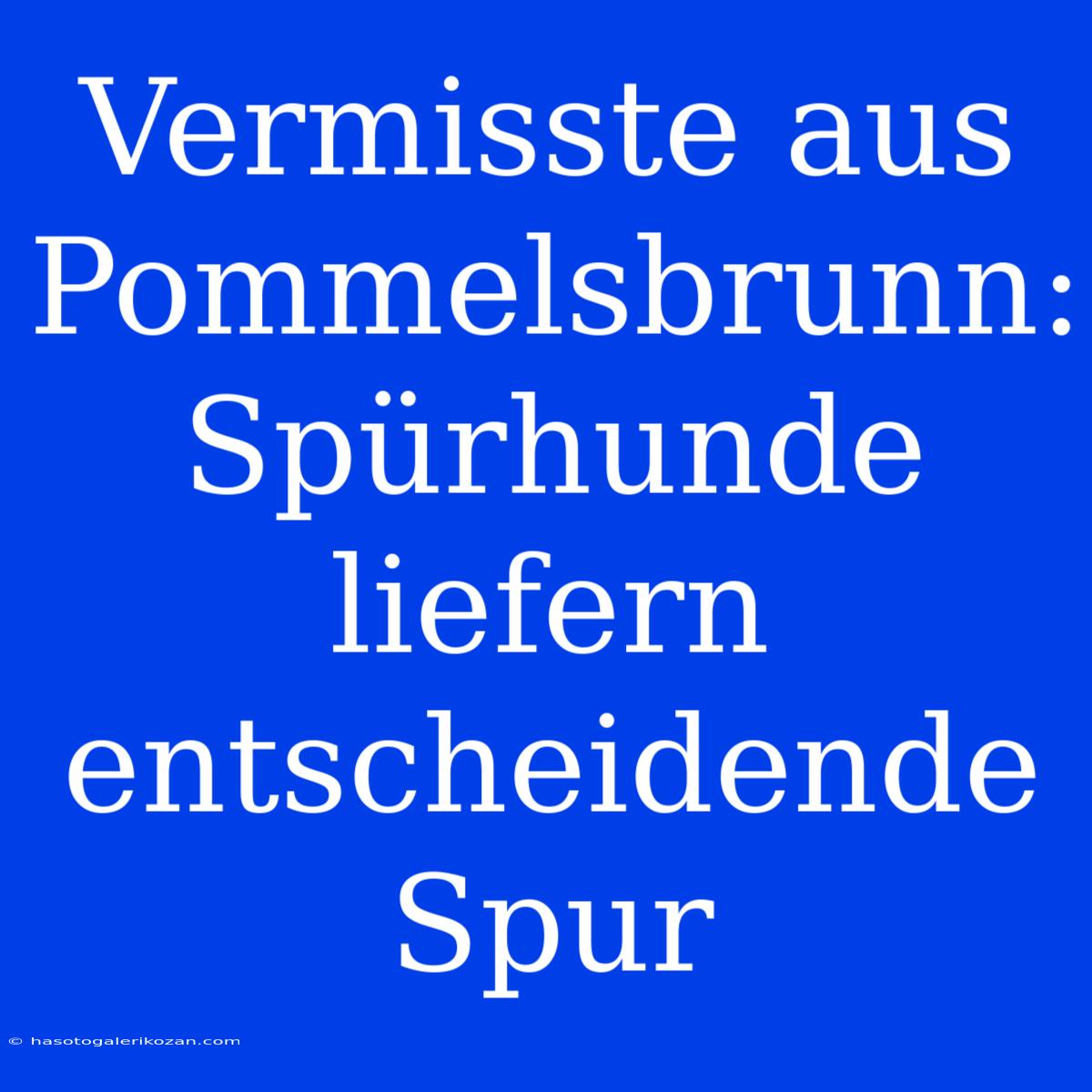 Vermisste Aus Pommelsbrunn: Spürhunde Liefern Entscheidende Spur