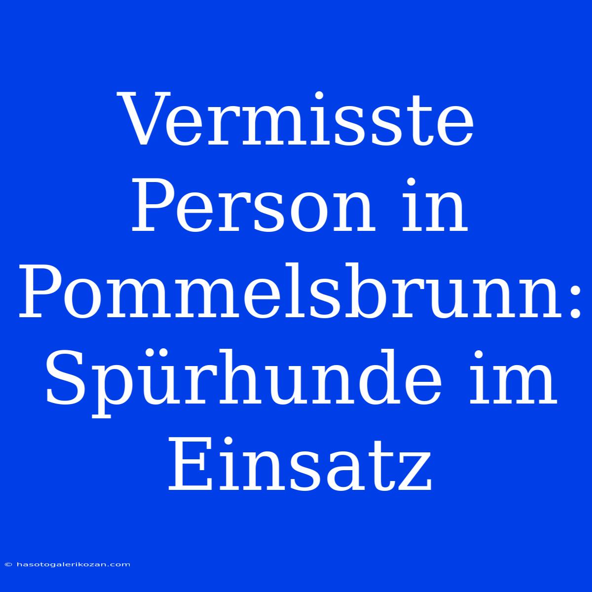 Vermisste Person In Pommelsbrunn: Spürhunde Im Einsatz