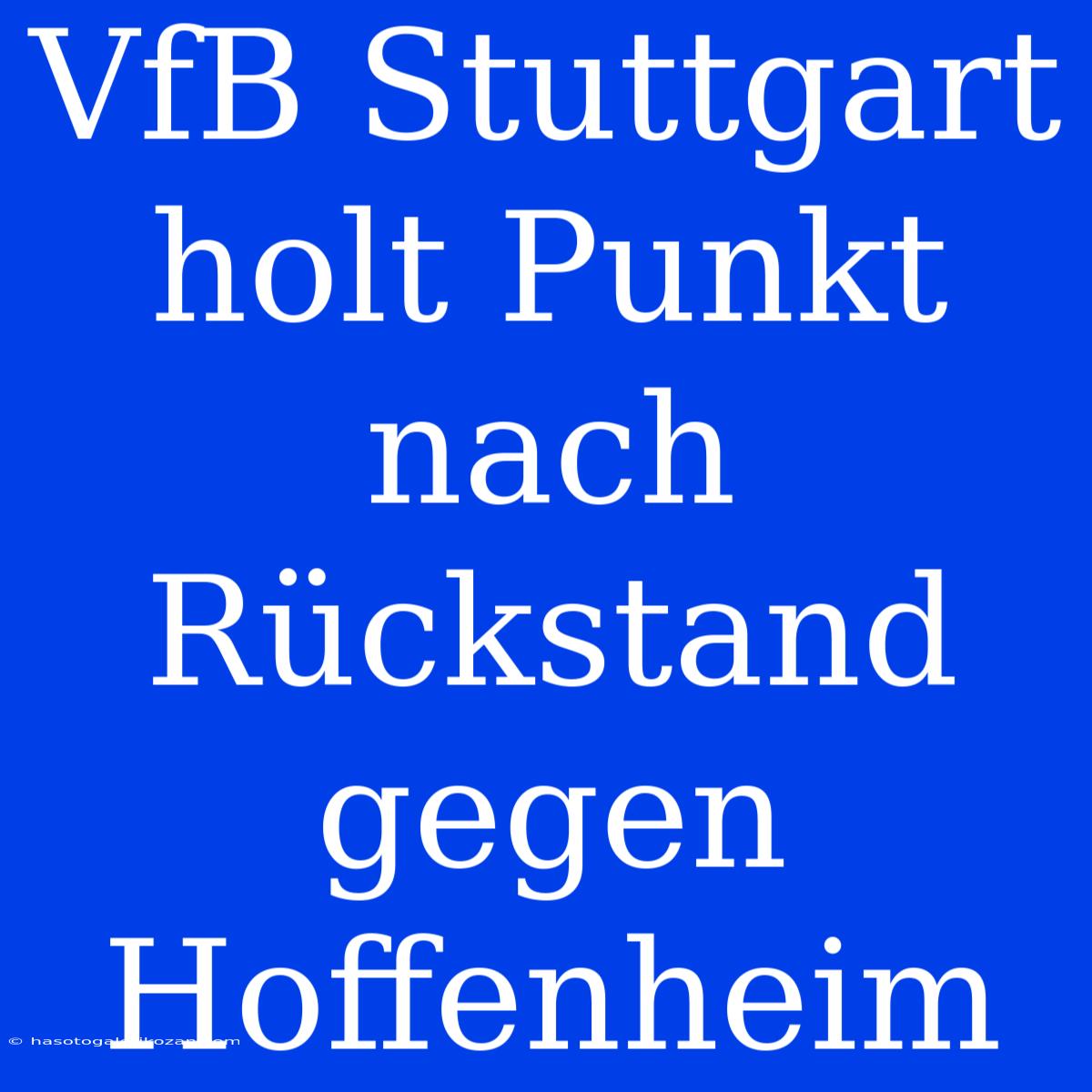 VfB Stuttgart Holt Punkt Nach Rückstand Gegen Hoffenheim