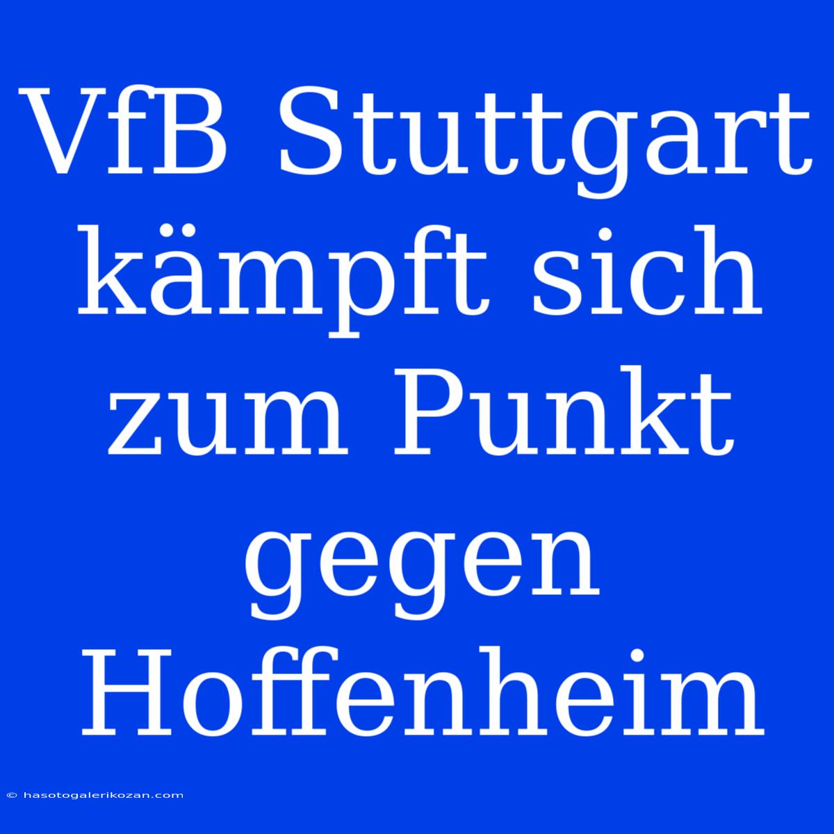 VfB Stuttgart Kämpft Sich Zum Punkt Gegen Hoffenheim