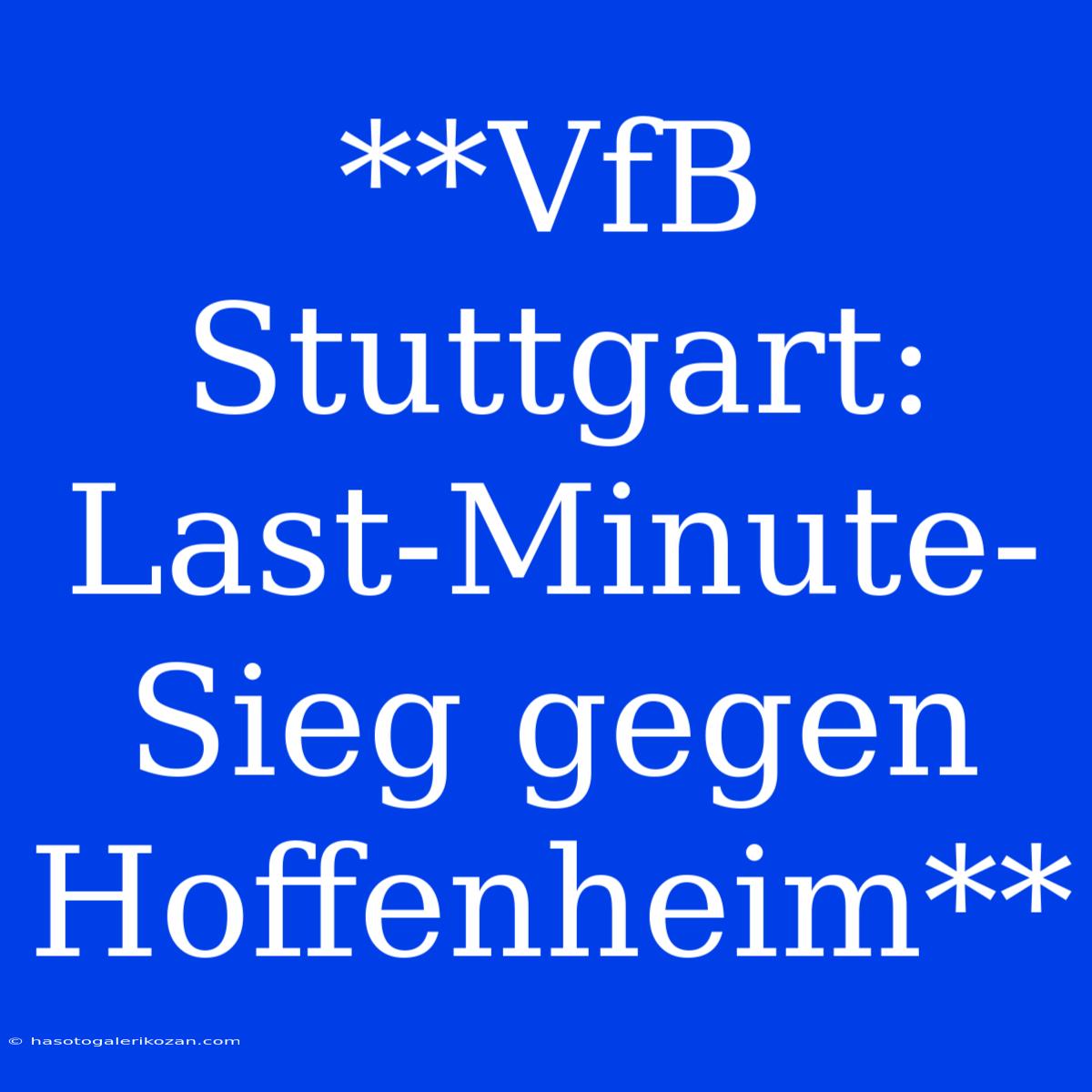 **VfB Stuttgart: Last-Minute-Sieg Gegen Hoffenheim**