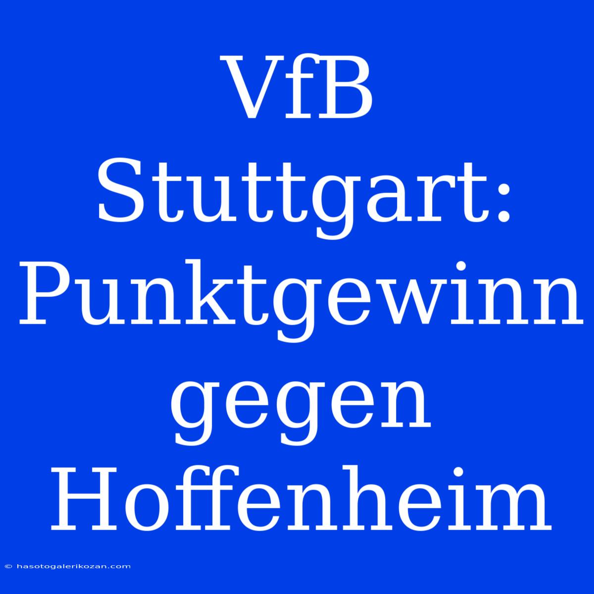 VfB Stuttgart: Punktgewinn Gegen Hoffenheim