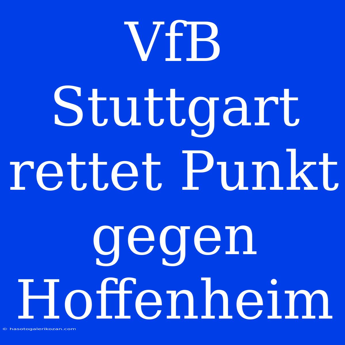 VfB Stuttgart Rettet Punkt Gegen Hoffenheim