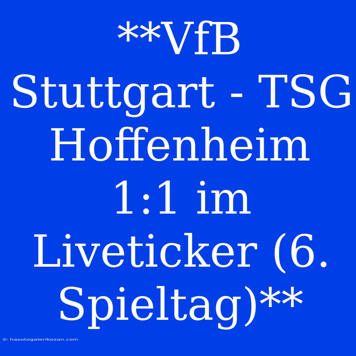 **VfB Stuttgart - TSG Hoffenheim 1:1 Im Liveticker (6. Spieltag)**