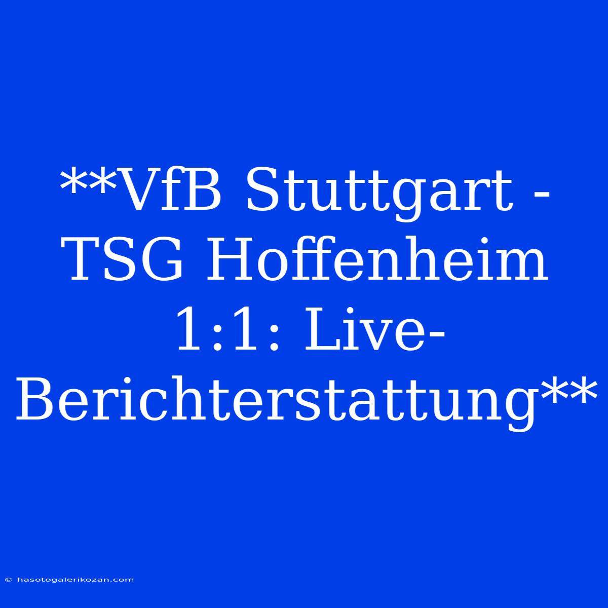 **VfB Stuttgart - TSG Hoffenheim 1:1: Live-Berichterstattung**