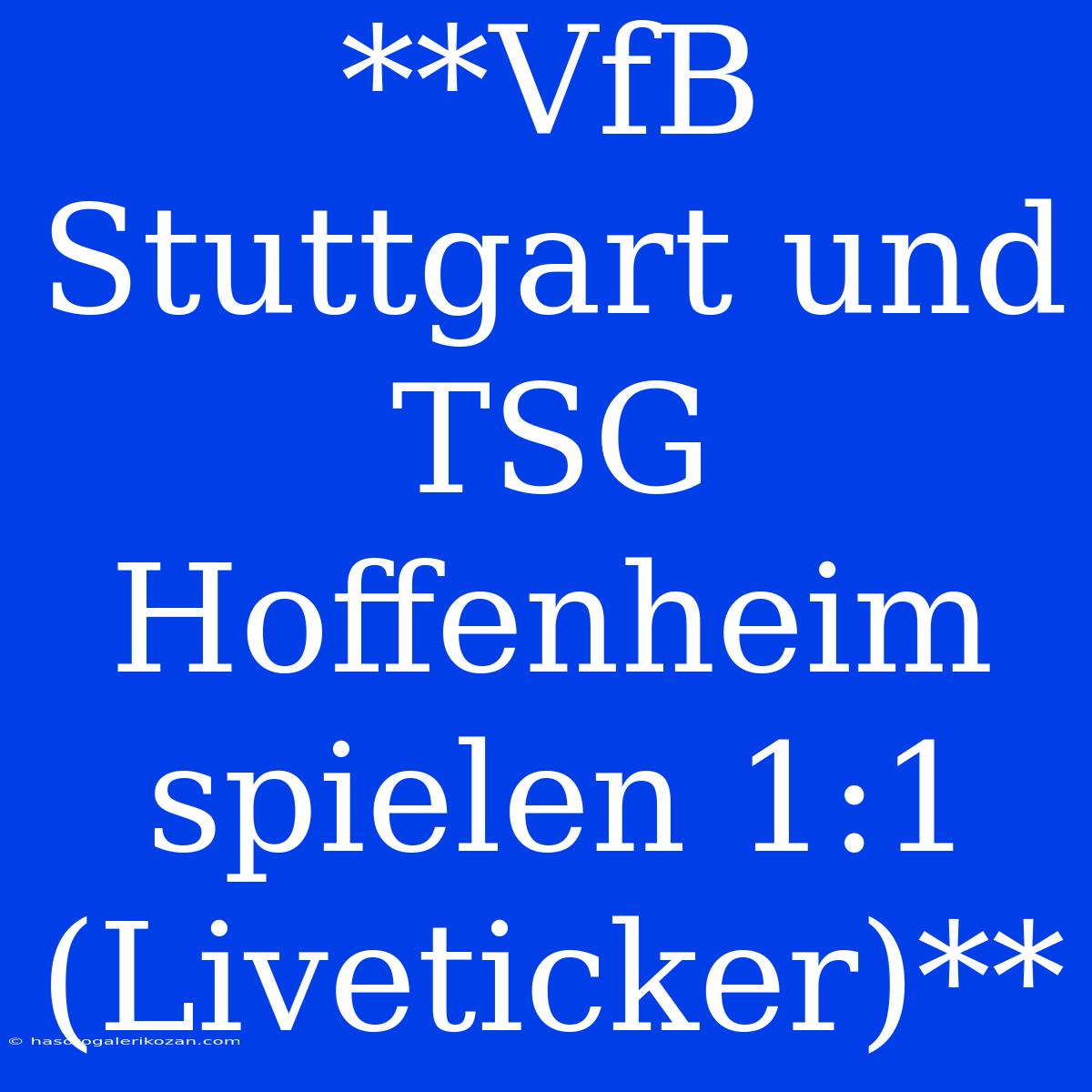 **VfB Stuttgart Und TSG Hoffenheim Spielen 1:1 (Liveticker)**