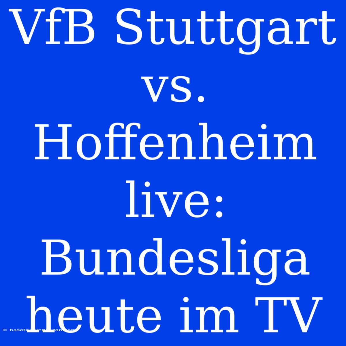 VfB Stuttgart Vs. Hoffenheim Live: Bundesliga Heute Im TV