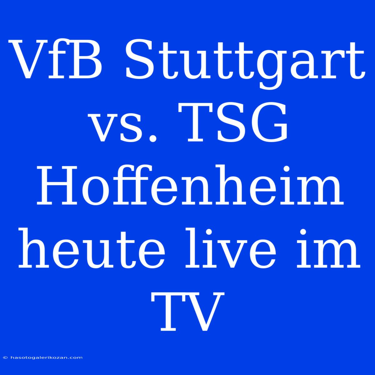 VfB Stuttgart Vs. TSG Hoffenheim Heute Live Im TV