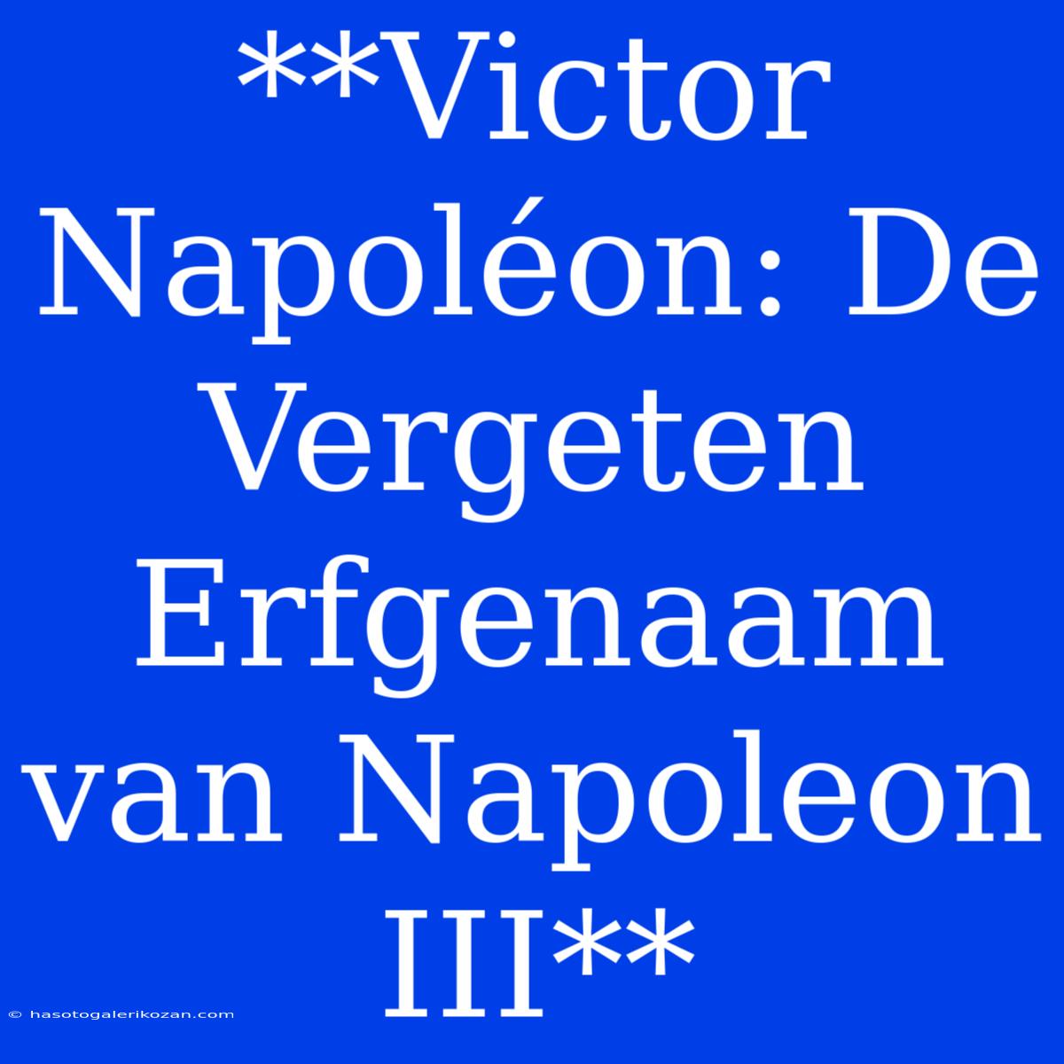 **Victor Napoléon: De Vergeten Erfgenaam Van Napoleon III**