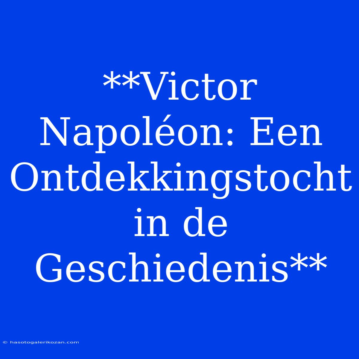 **Victor Napoléon: Een Ontdekkingstocht In De Geschiedenis**