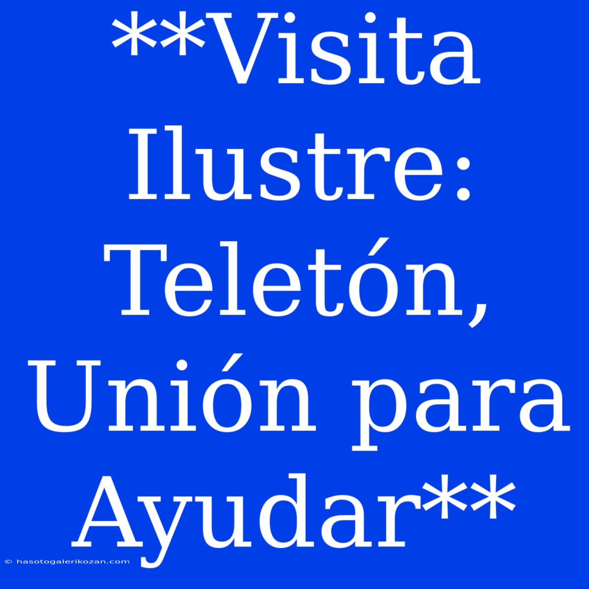 **Visita Ilustre: Teletón, Unión Para Ayudar**