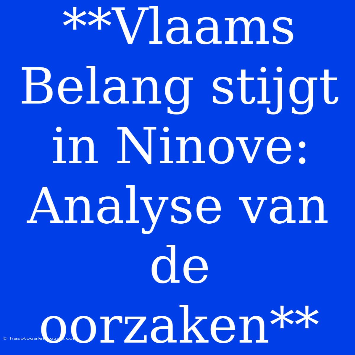 **Vlaams Belang Stijgt In Ninove: Analyse Van De Oorzaken**