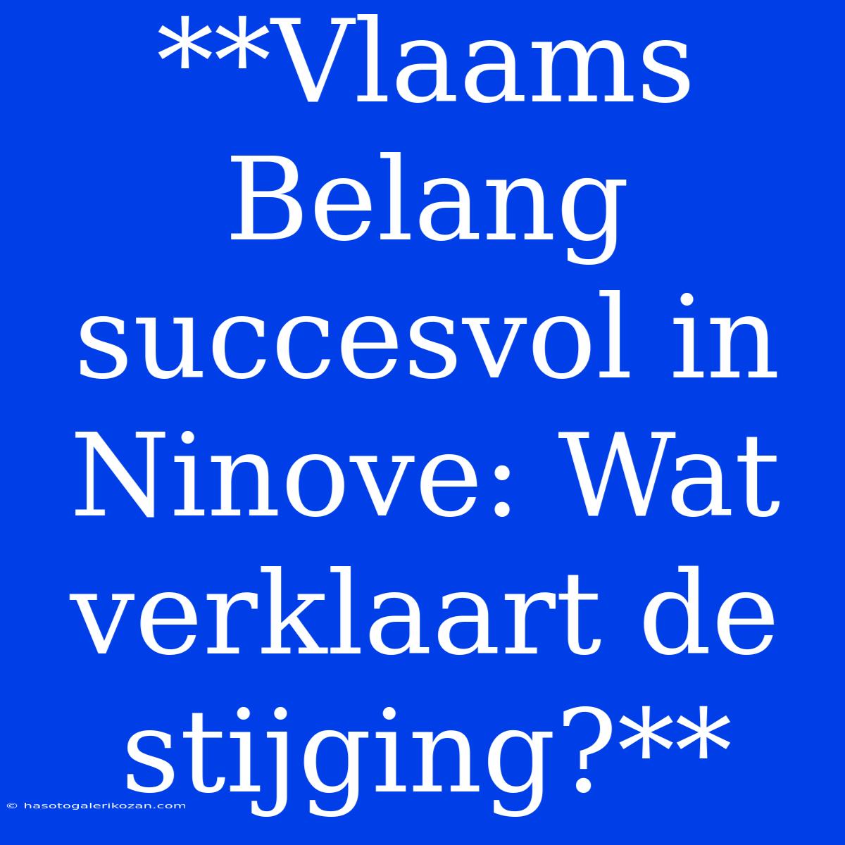 **Vlaams Belang Succesvol In Ninove: Wat Verklaart De Stijging?**