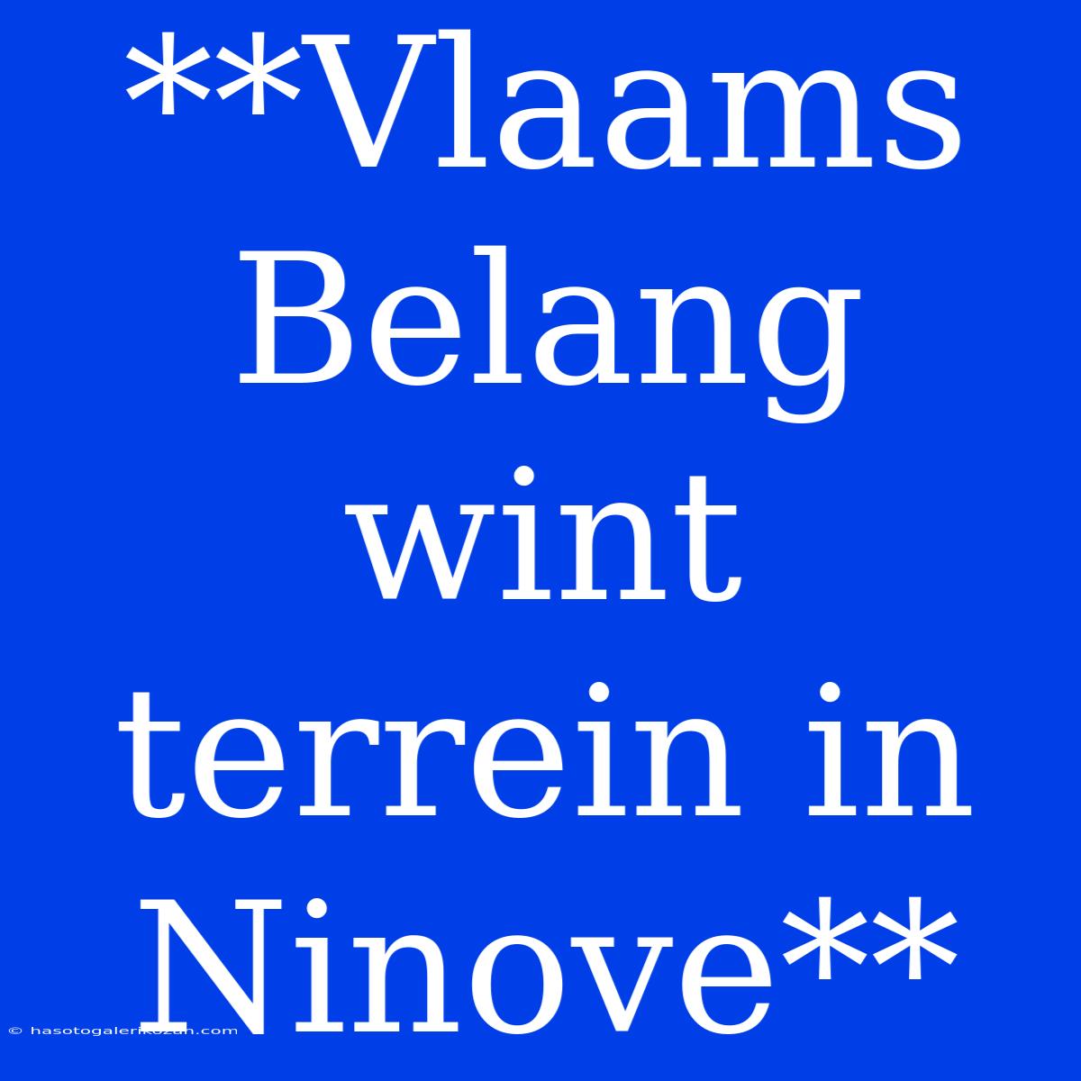 **Vlaams Belang Wint Terrein In Ninove**