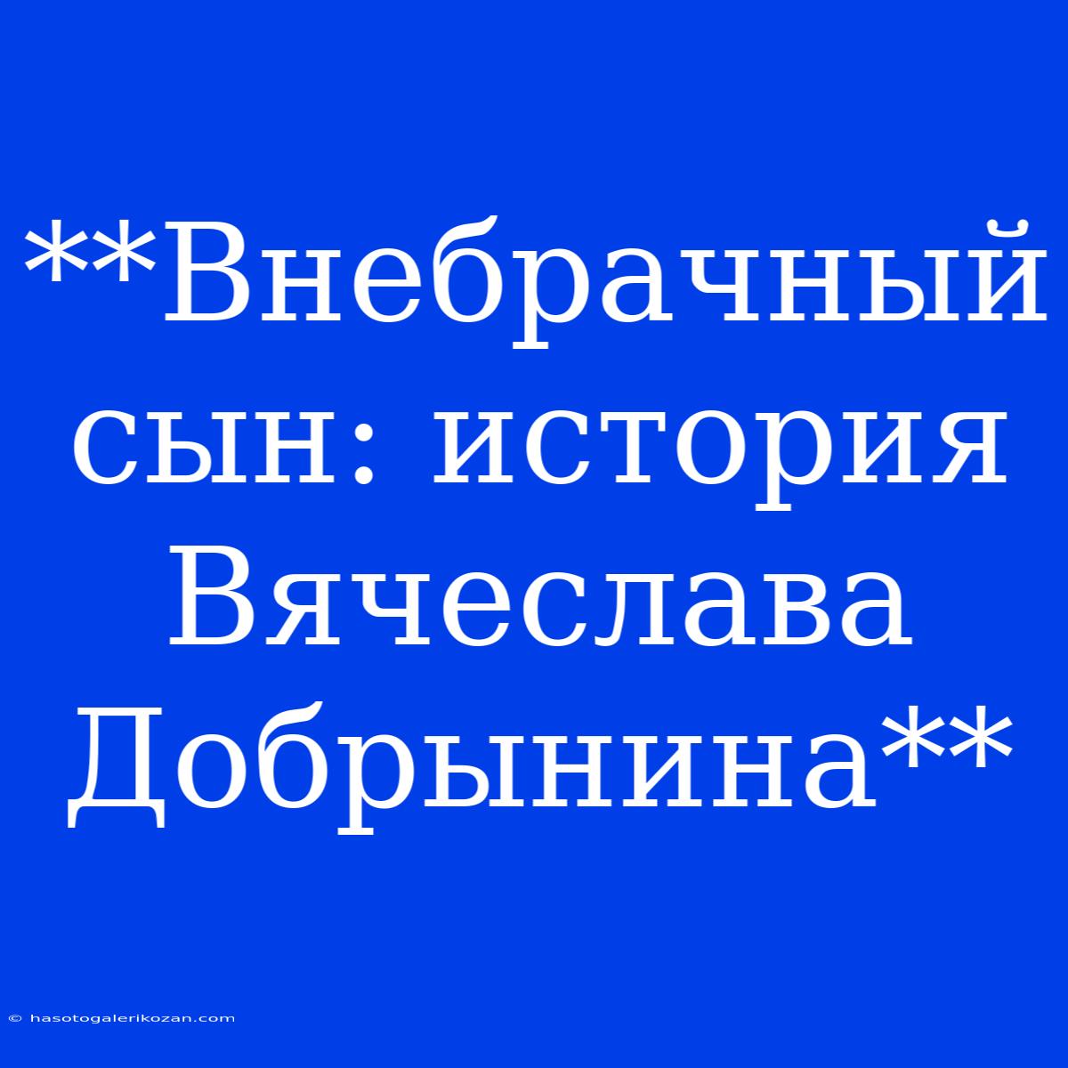 **Внебрачный Сын: История Вячеслава Добрынина**