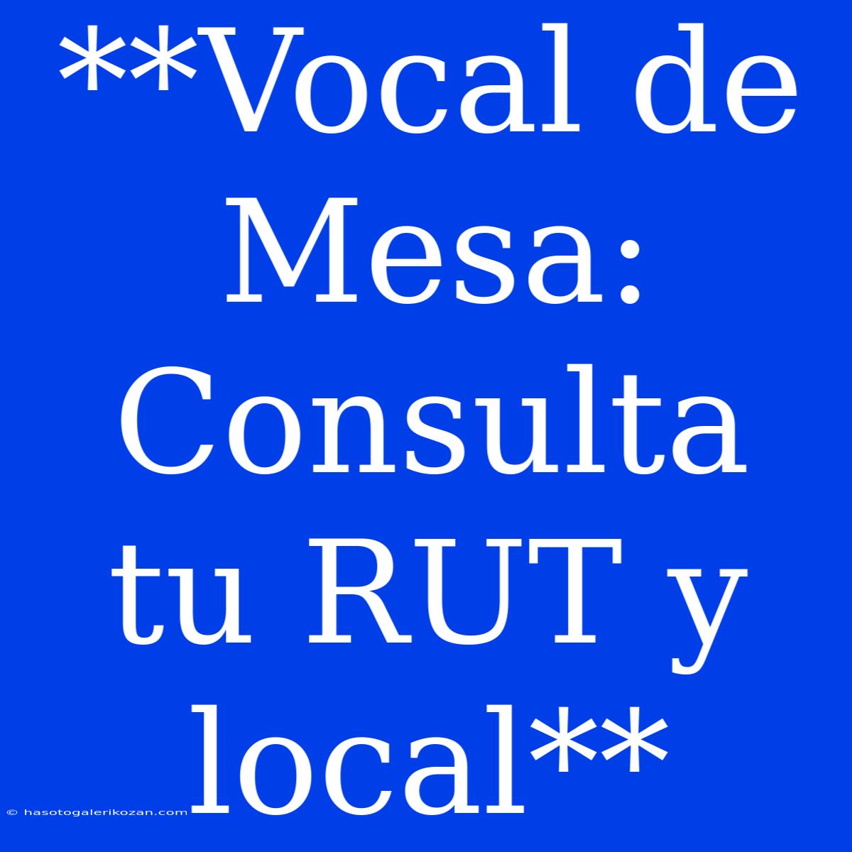 **Vocal De Mesa: Consulta Tu RUT Y Local**