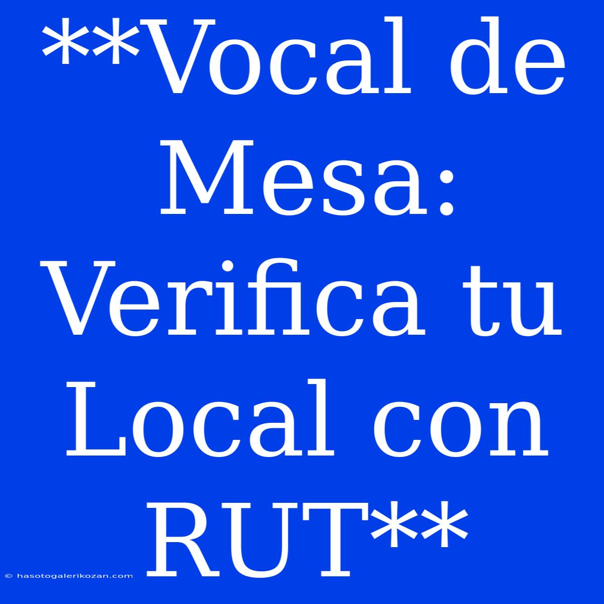 **Vocal De Mesa: Verifica Tu Local Con RUT**