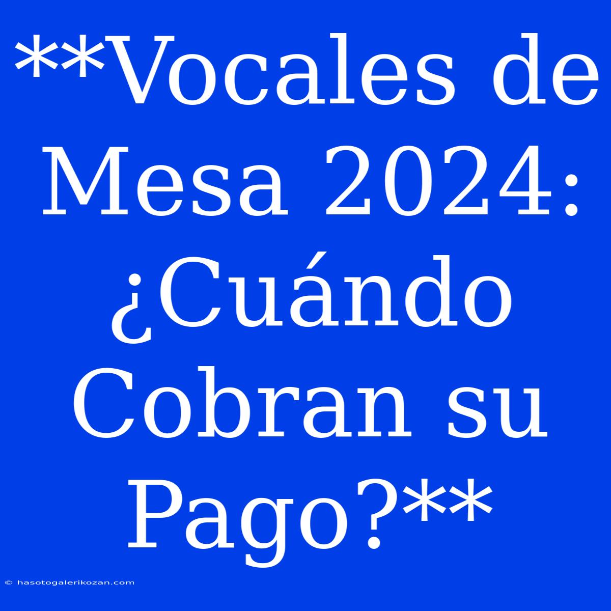 **Vocales De Mesa 2024: ¿Cuándo Cobran Su Pago?**