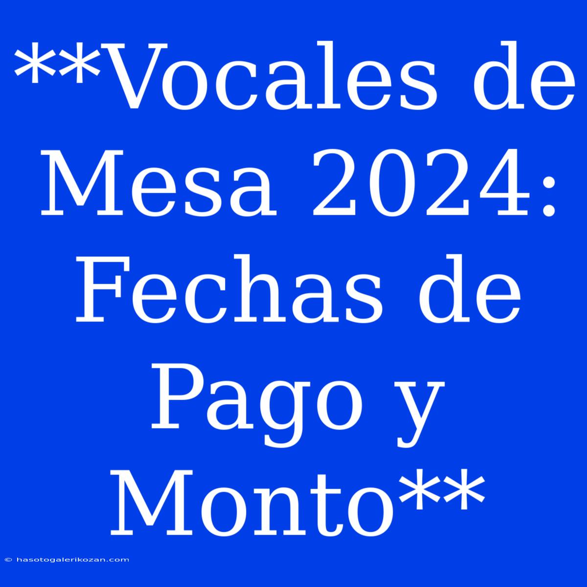 **Vocales De Mesa 2024: Fechas De Pago Y Monto**