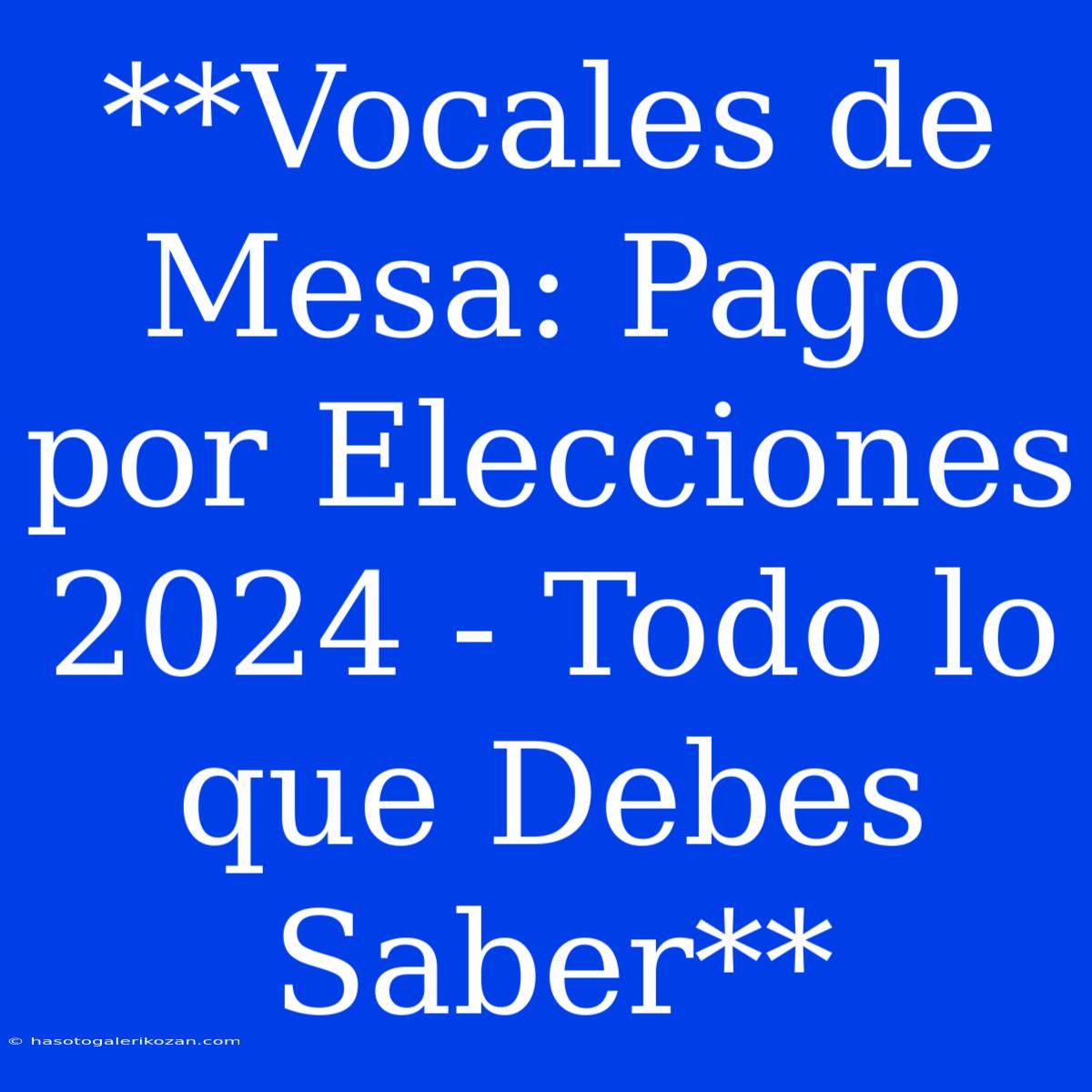 **Vocales De Mesa: Pago Por Elecciones 2024 - Todo Lo Que Debes Saber**