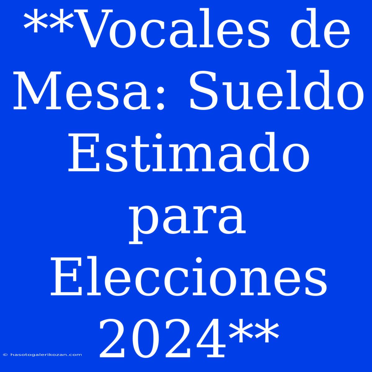 **Vocales De Mesa: Sueldo Estimado Para Elecciones 2024**