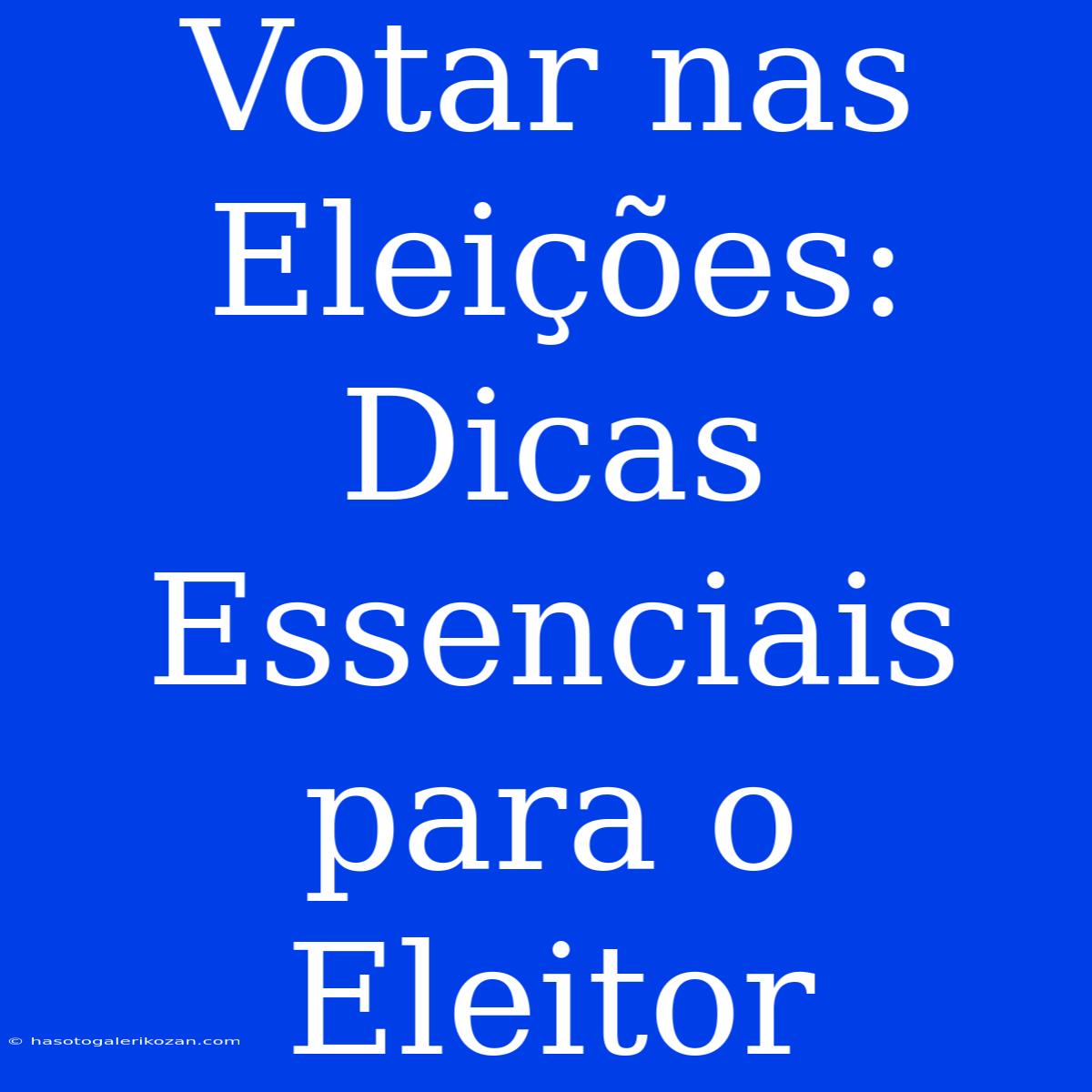 Votar Nas Eleições: Dicas Essenciais Para O Eleitor