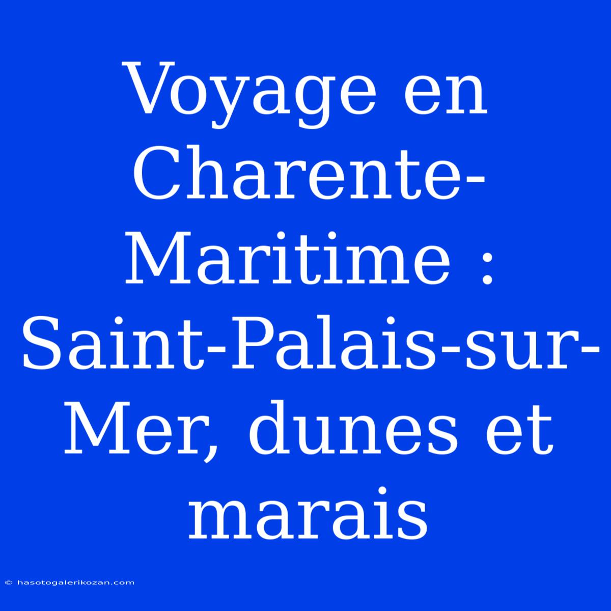 Voyage En Charente-Maritime : Saint-Palais-sur-Mer, Dunes Et Marais