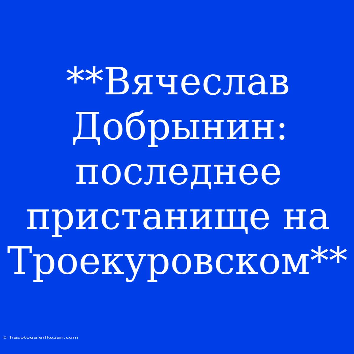 **Вячеслав Добрынин: Последнее Пристанище На Троекуровском** 