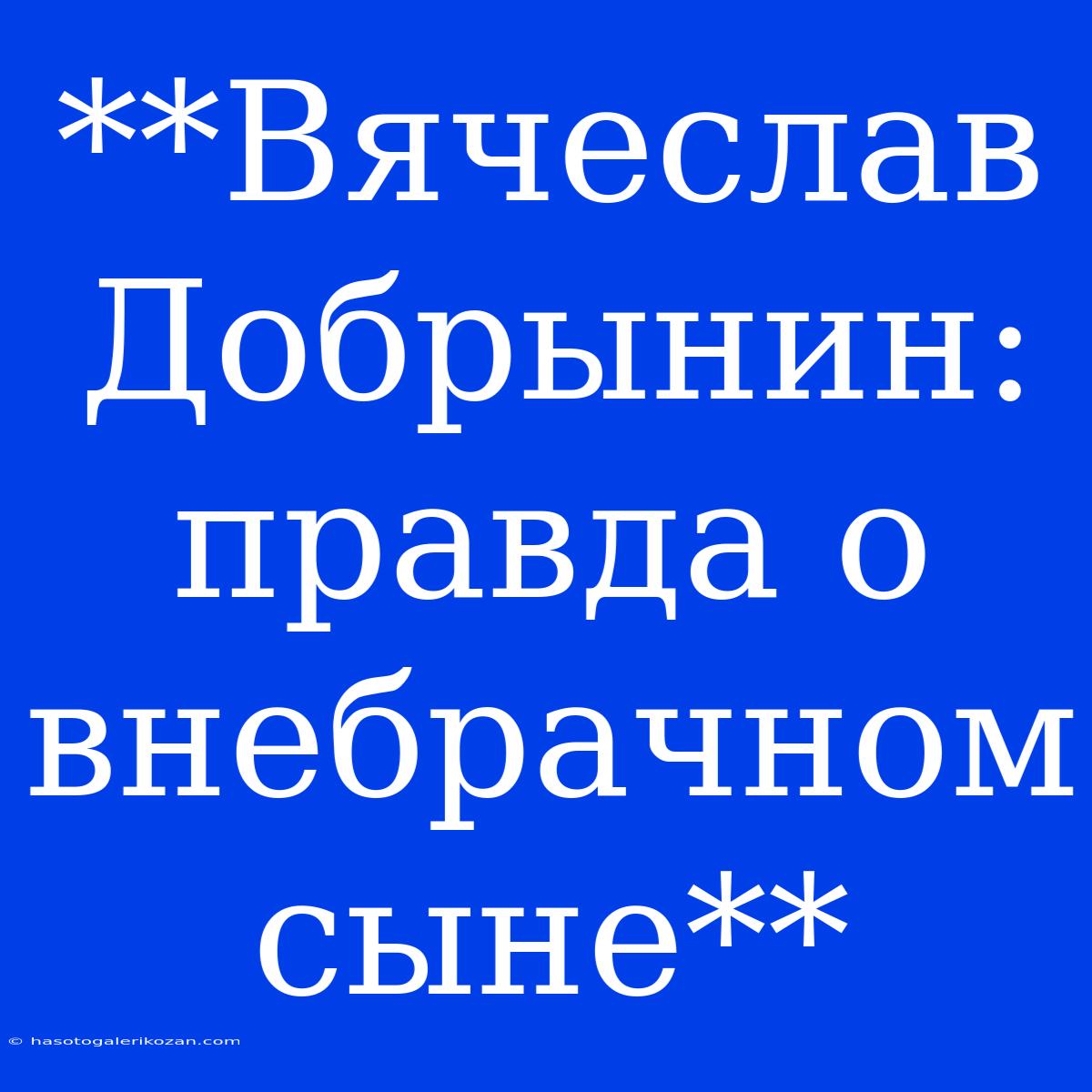 **Вячеслав Добрынин: Правда О Внебрачном Сыне**