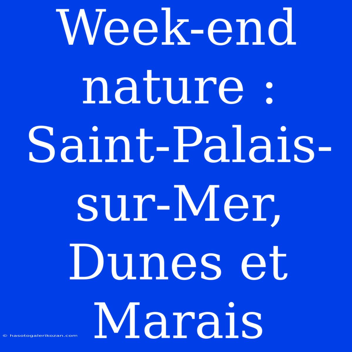 Week-end Nature : Saint-Palais-sur-Mer, Dunes Et Marais