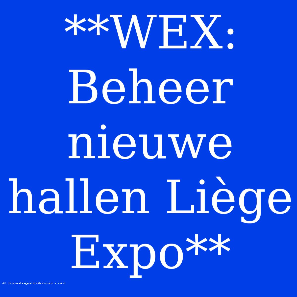 **WEX: Beheer Nieuwe Hallen Liège Expo** 