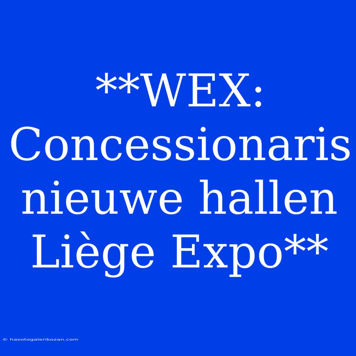 **WEX: Concessionaris Nieuwe Hallen Liège Expo**