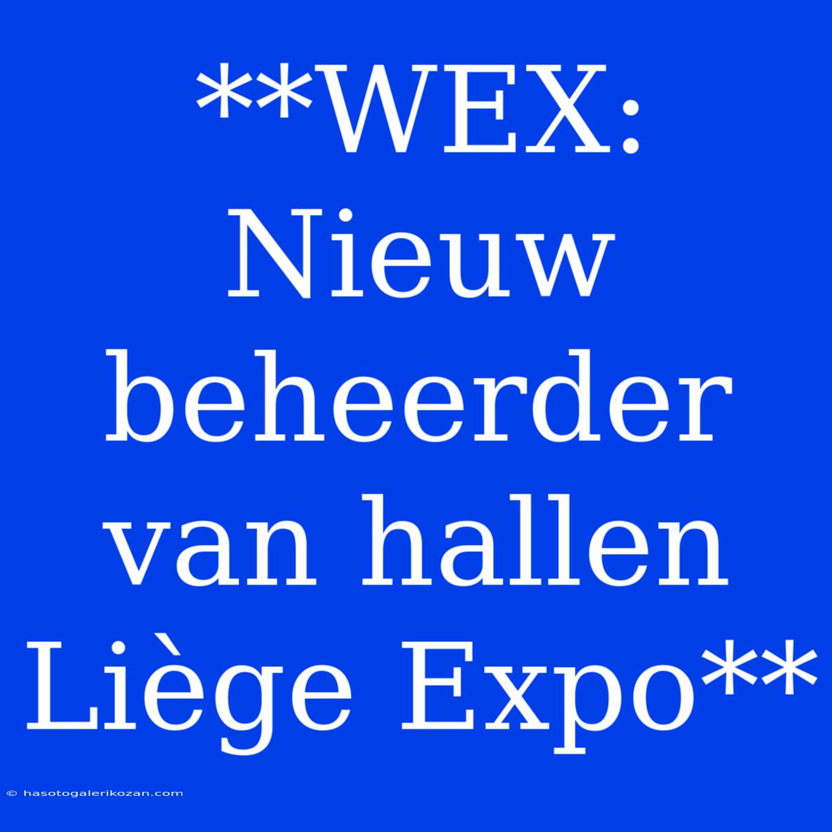 **WEX: Nieuw Beheerder Van Hallen Liège Expo**