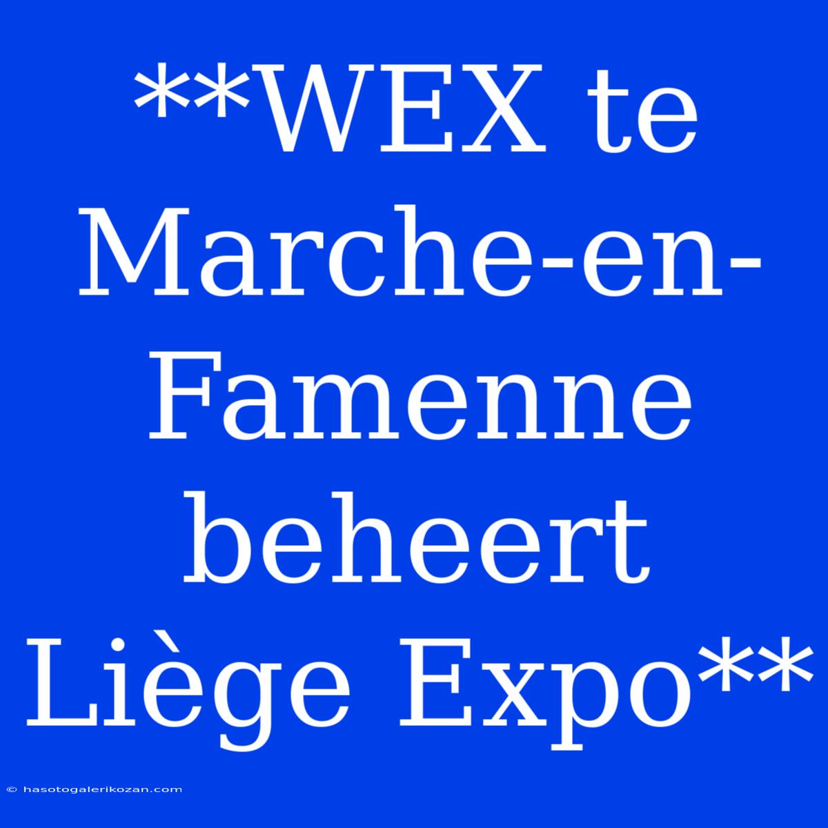 **WEX Te Marche-en-Famenne Beheert Liège Expo**