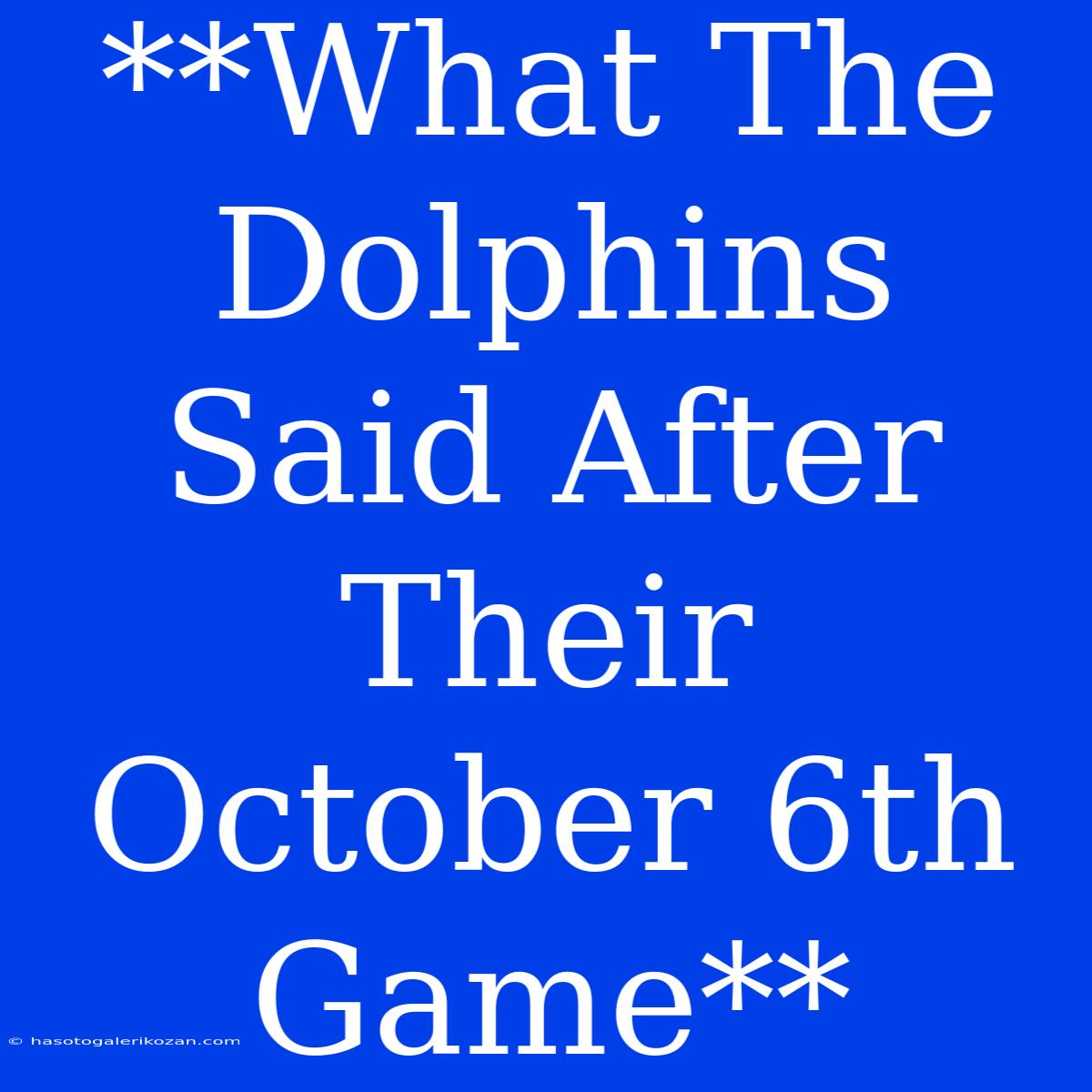 **What The Dolphins Said After Their October 6th Game**