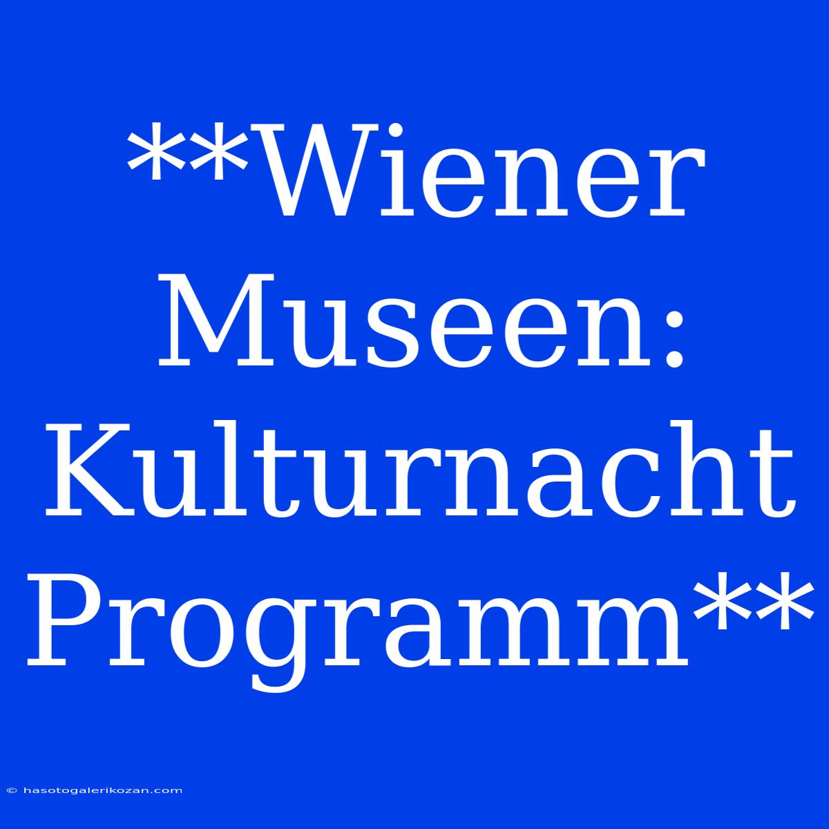 **Wiener Museen: Kulturnacht Programm**