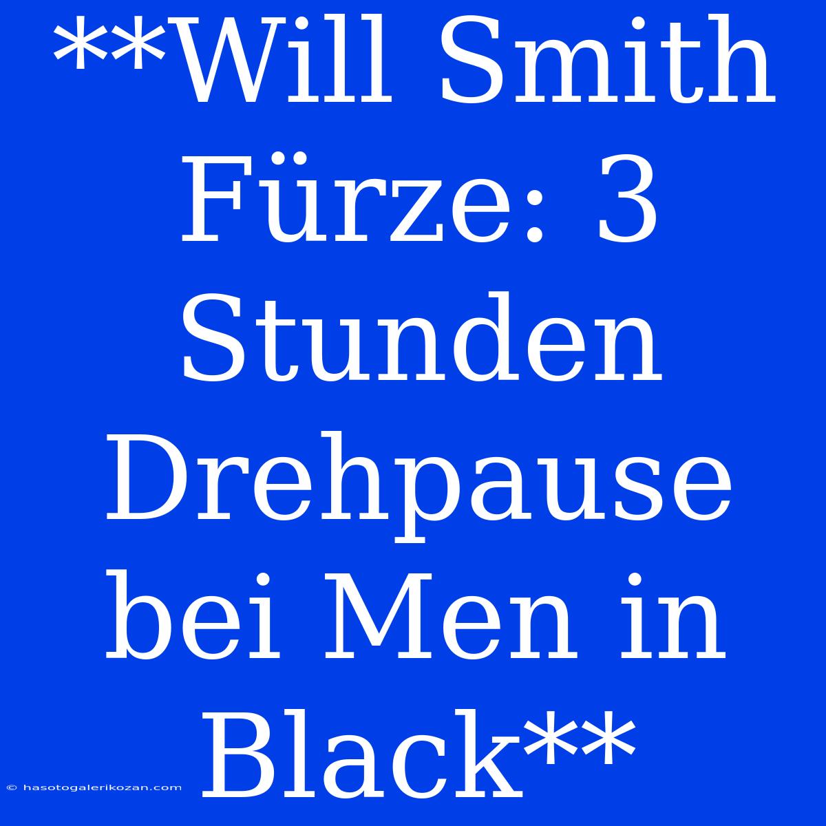 **Will Smith Fürze: 3 Stunden Drehpause Bei Men In Black**