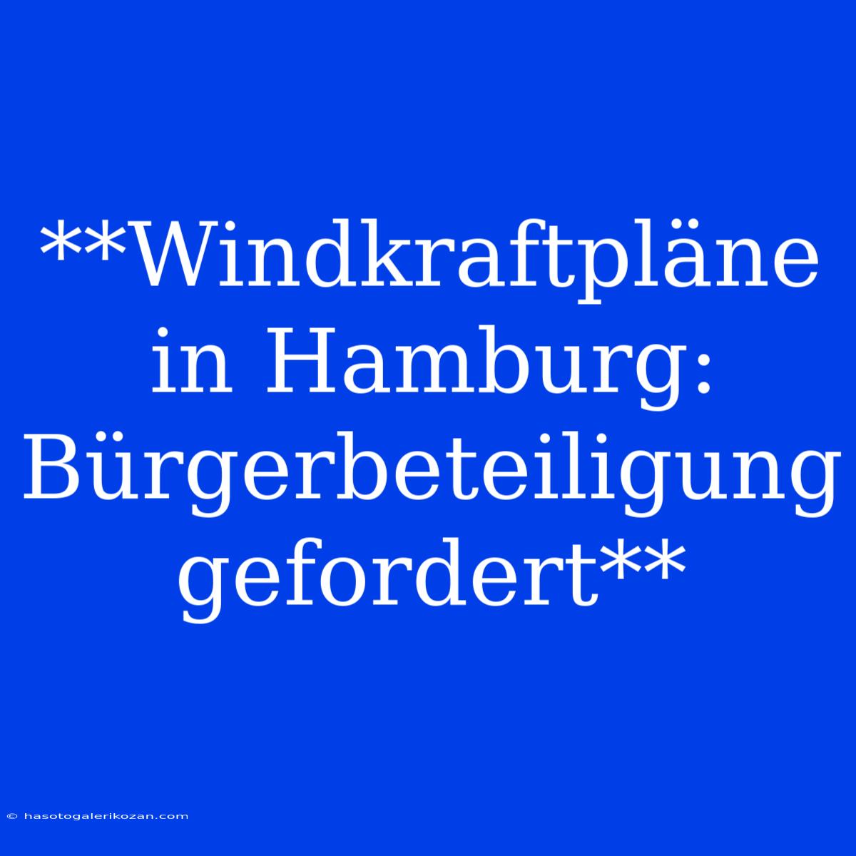 **Windkraftpläne In Hamburg: Bürgerbeteiligung Gefordert**