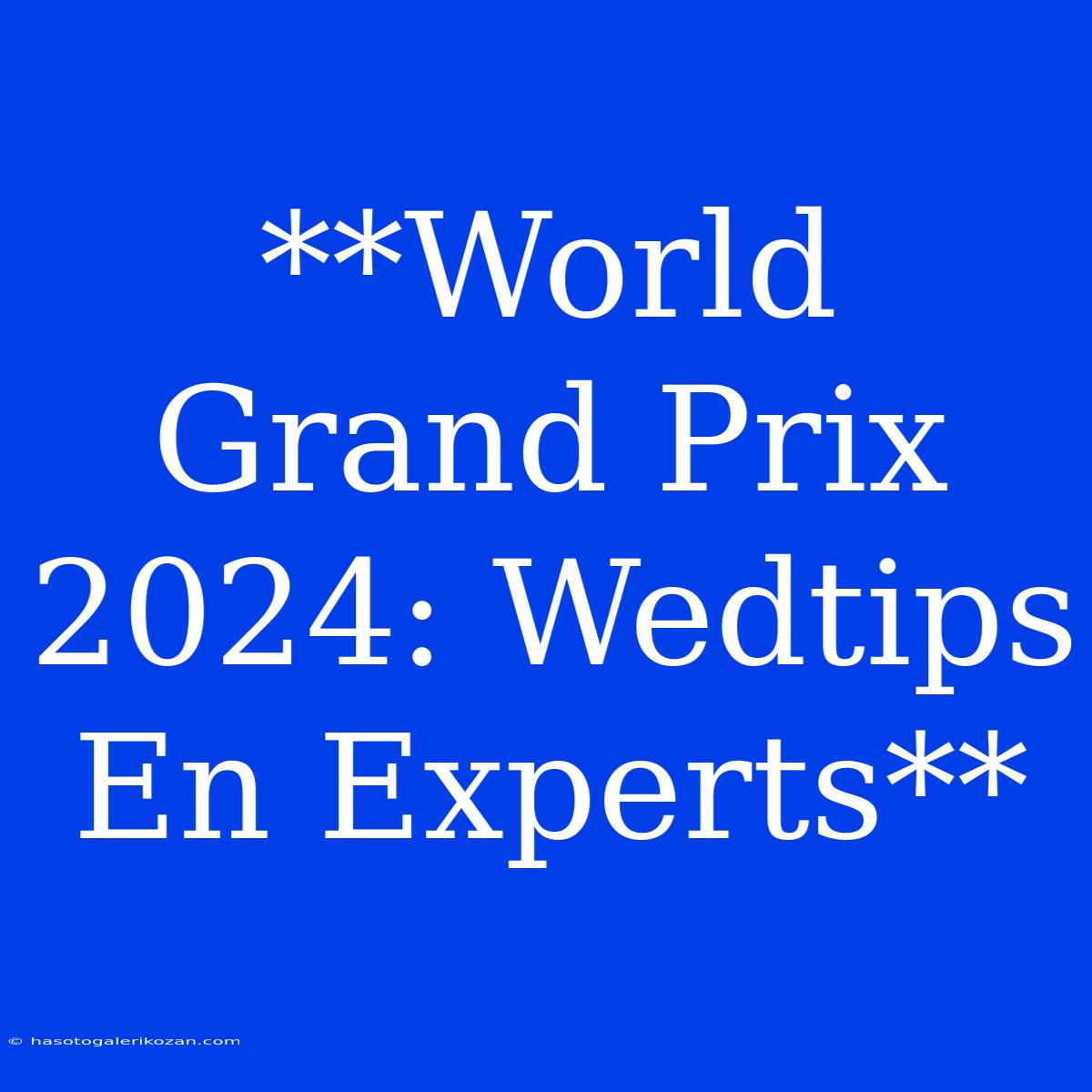 **World Grand Prix 2024: Wedtips En Experts**