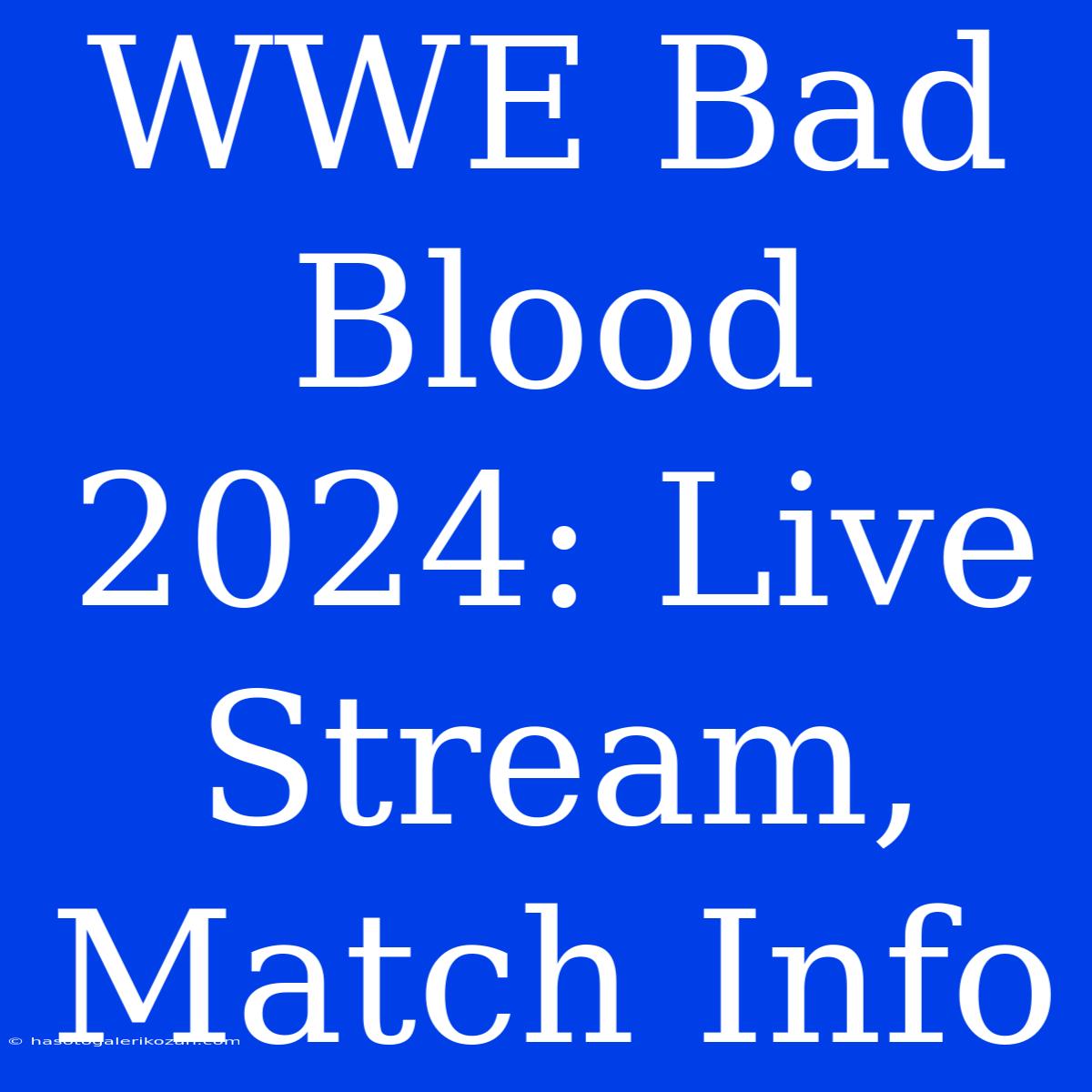 WWE Bad Blood 2024: Live Stream, Match Info