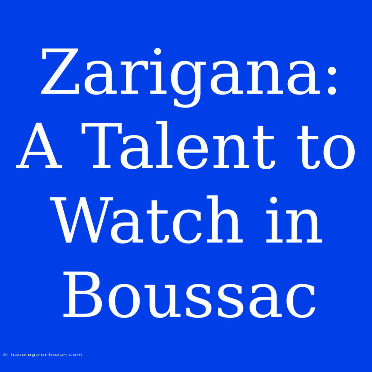 Zarigana:  A Talent To Watch In Boussac