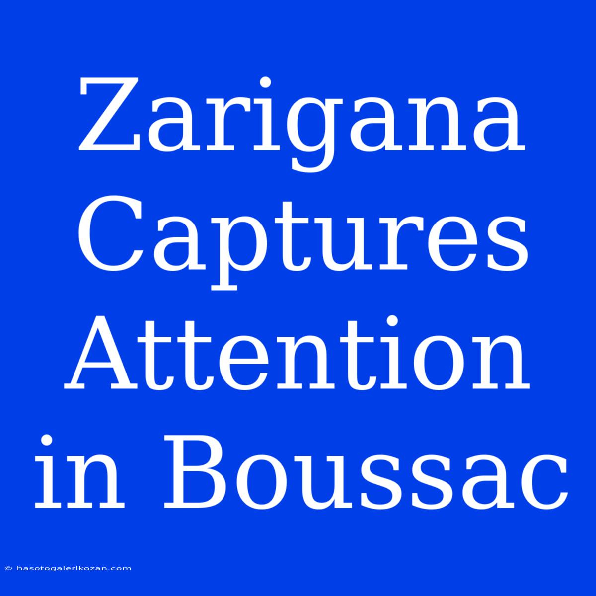 Zarigana Captures Attention In Boussac